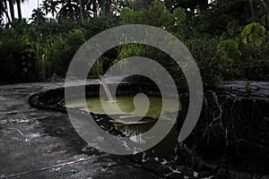 Abandoned Historical Hotel-Cocoa Palms-Kauai Hawai`i