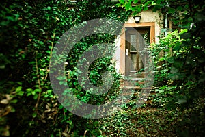 Abandoned home with overgrown path leading to front door