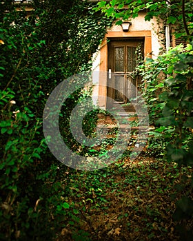 Abandoned home with overgrown path leading to front door