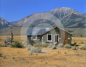 Abandoned Homestead