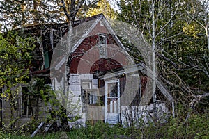 Abandoned Homestead