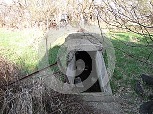 Abandoned homestead cellar