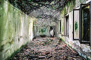 Abandoned Hospital in Poveglia