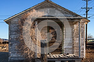 Abandonado casa 