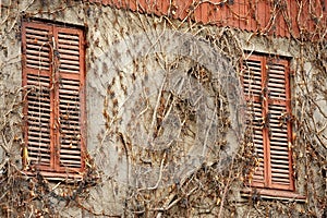 Abandoned house