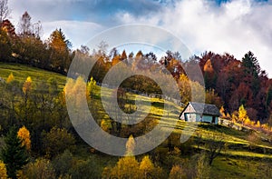 Abandoned house in autumn forest on hillside