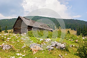 Abandoned house in the Carpathians mountains