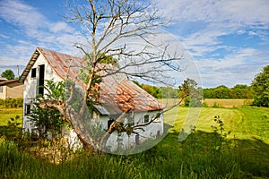 Abandoned house in country with dead tree and overgrowth reclaiming decaying building