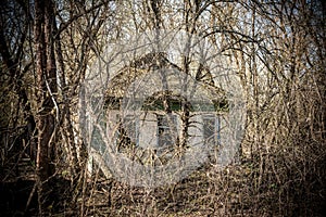 Abandoned house in destroyed village of Kopachi Chernobyl zone, Ukraine