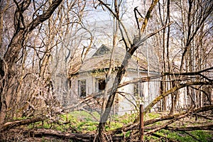 Abandoned house in destroyed village of Kopachi Chernobyl zone, Ukraine