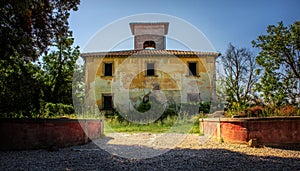 Abandoned house on the edge of the forest