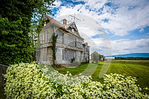 Abandoned house in Elkton, in the Shenandoah Valley of Virginia.