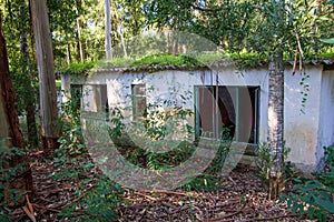 Abandoned house in the forest