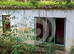 Abandoned house in the forest