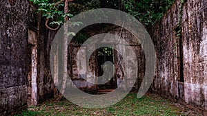 Abandoned house in forest in amazon photo