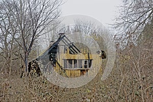 Abandoned house in a forest in Pirita