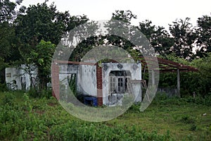 The abandoned house inhabited forest occurs the placental opacity