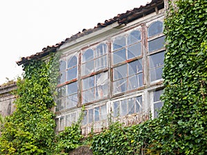 Abandoned house invaded by nature photo