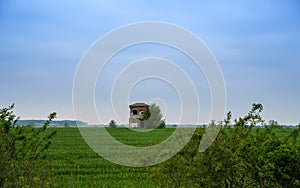 Abandoned house in the middle of the field.