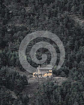Abandoned house in the forest