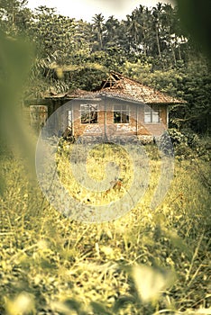 Abandoned house middle in the jungle