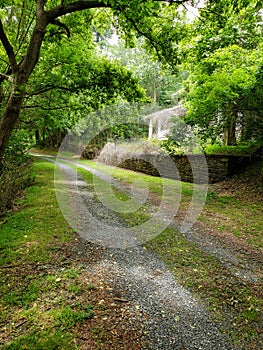 Abandoned house by the road