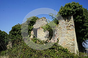 Abandoned house ruined