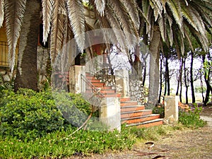 Abandoned House Staircase Old Farm