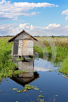 Abandoned house on stilts in the water