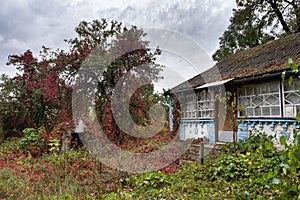 Abandoned house in ukrainian village