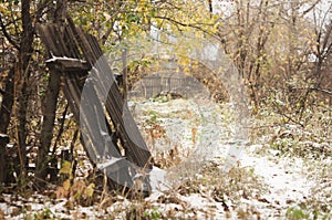 abandoned house in the winter forest