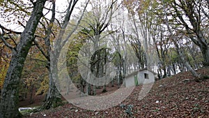 Abandoned house in the woods on the Mount Cucco in Umbria in Italy