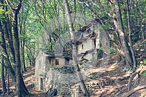 Abandoned houses in the woods photo