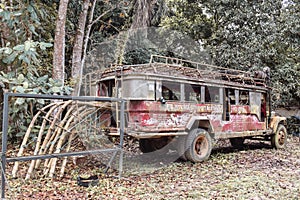 Abandoned hunted school truck swallowed by tropical jungle in Port Barton Palawan the Philippines