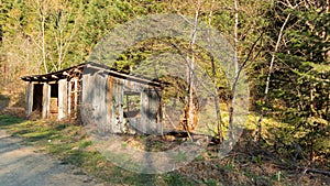 Abandoned Hut in the Forest Kastamonu-Turkey