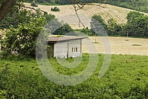 Abandoned hut in the italian countryside Italy, Europe