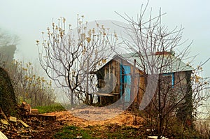 Abandoned hut in a misty landscape