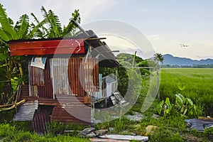 Abandoned hut at the rice paddy field