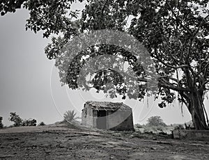 An Abandoned Hut or shack made of bricks in between nature alone at countryside, a big banyan over it. Landscape.