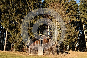 Abandoned hut shed shelter, overgrown on a meadow near Wertach, AllgÃ¤u, Germany