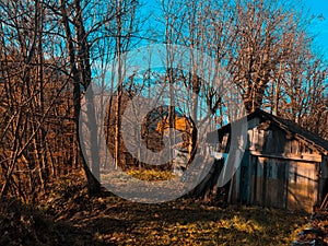 Abandoned hut - wooden hut - forest The cabin