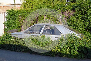 The abandoned and immobile car standing in the weeds