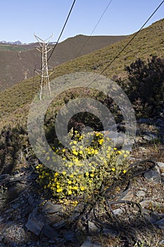 Abandoned industrial coal mining steel structure tower from cableway with cable in Tormaleo Asturias province of Spain on a bright