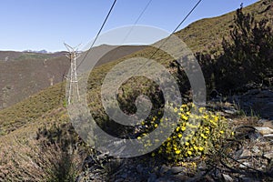 Abandoned industrial coal mining steel structure tower from cableway with cable in Tormaleo Asturias province of Spain on a bright