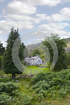 Abandoned Irish farmhouse ruin