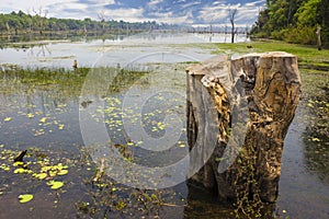 Abandoned lake in Angkor Wat