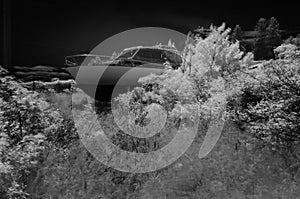 An abandoned land locked cabin cruiser in an overgrown field shot in infrared black and white appears to be motoring through the b