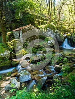 Abandoned little house or mill in the forest in Vale do Douro, P