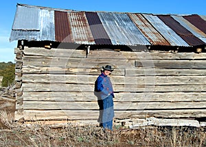 Abandoned log cabin