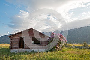 Abandoned Log Cabin along the Snake River in Alpine Wyoming USA